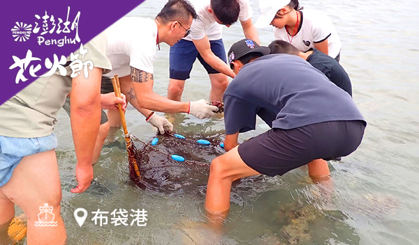 澎湖北海漁夫潮｜抱墩抓魚、岸遊獨木舟